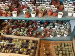 android_upload_pic-密讯馆密室逃脱&换装侦探剧(环球港旗舰店)