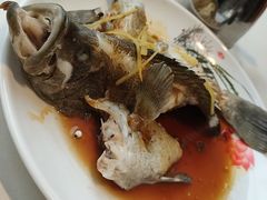 蓝星斑-天鹰观渔(梦园店)