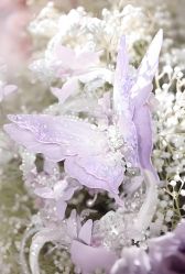 -福州香格里拉·宴会厅