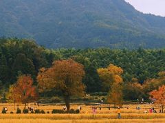 -塔川景区