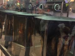 -一代烤翅王(大汉口店)