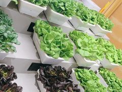 -九孔·筒骨莲藕汤锅(大明宫万达店)