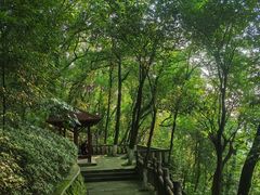 -重庆平顶山公园