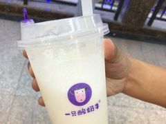 原味酸奶紫米露-一只酸奶牛(八一路店)