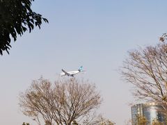 -宝安西湾红树林湿地公园