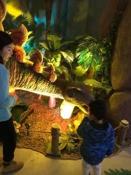 -恐龙探索乐园(磁器口店)