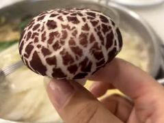 -横沥牛庄(总店)