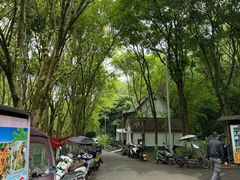 -重庆彩云湖湿地公园
