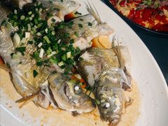 葱油钱塘白水鱼-阿巧茶庄
