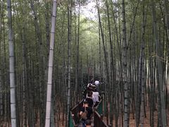 -陶祖圣境风景区