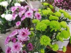 -何兮花店·气球派对鲜花店(马桥银春路万科城店)