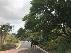 -墨尔本皇家植物园