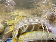 -欧记·龙城港(欣都店)