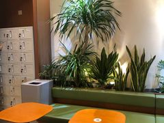 -奈雪的茶(石家庄万象城店)