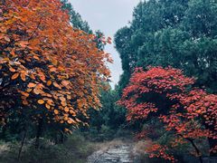 -千佛山风景名胜区