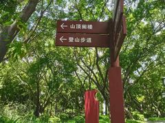 -王借岗森林公园