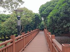 -立新湖公园