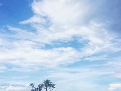 -白沙滩
