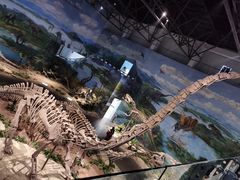 -自贡恐龙博物馆