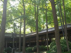 -大慈恩寺(大雁塔)