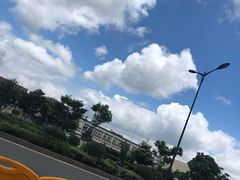 -素德轩素食餐厅(东港店)