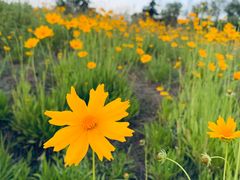 -渭河城市绿地运动公园