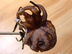 和风章鱼君章鱼烧-泉鲤章鱼烧(互联宝地店)