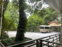 -普陀山雷迪森庄园