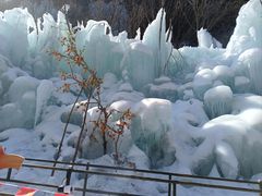 -青峰峡国家森林公园