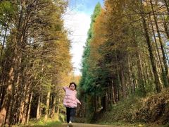 -山王坪喀斯特国家生态公园