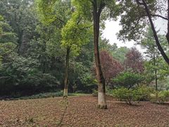 -南山风景名胜区
