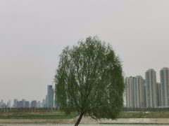 -汉江湾体育公园