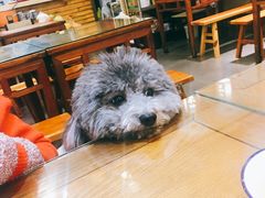 -福瑞记老孙头biangbiang面(新生路店)