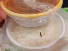 -老乡鸡(寿县君子大道店)