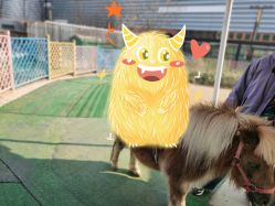 -萌宠亲子动物乐园(槐房万达店)