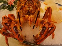 -潮皇食府(北京店)