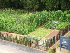 -延安杨家岭革命旧址