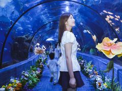 -南昌海洋公园