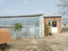 -甜心庄园·甜心草莓采摘园(西青中北店)