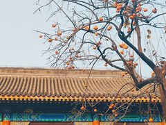-北京石刻艺术博物馆(五塔寺)