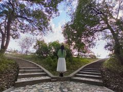 -金孔雀温泉旅游度假村