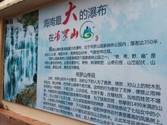 -海南热带雨林国家公园吊罗山景区