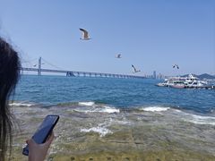 -星海湾跨海大桥