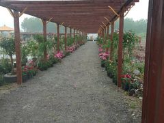 -同銮特种养殖场·龙虾垂钓