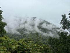 -海南热带雨林国家公园吊罗山景区