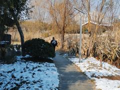 -蜀冈西峰生态公园