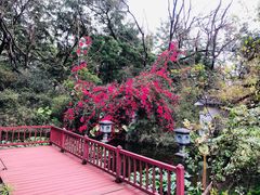 -深圳国际园林花卉博览园