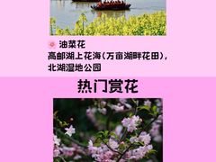 -陈记菜馆·非遗淮扬菜(东关街教场店)