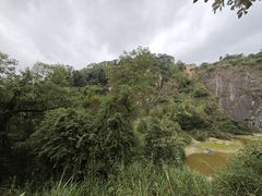-火炉山森林公园