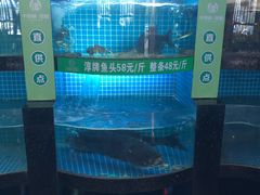 -千岛湖小鱼儿·淳安匠心农家菜